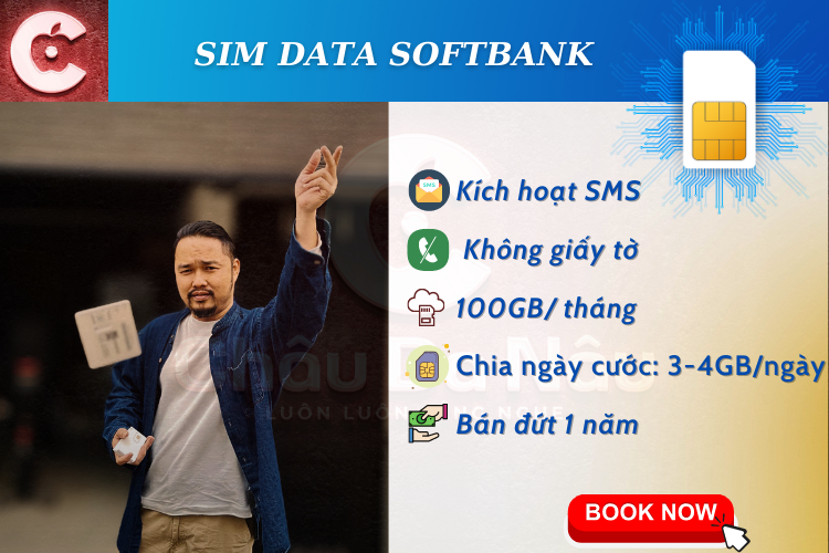 Sim 100gb